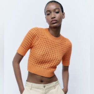 Zara crop shortsleeved sweater